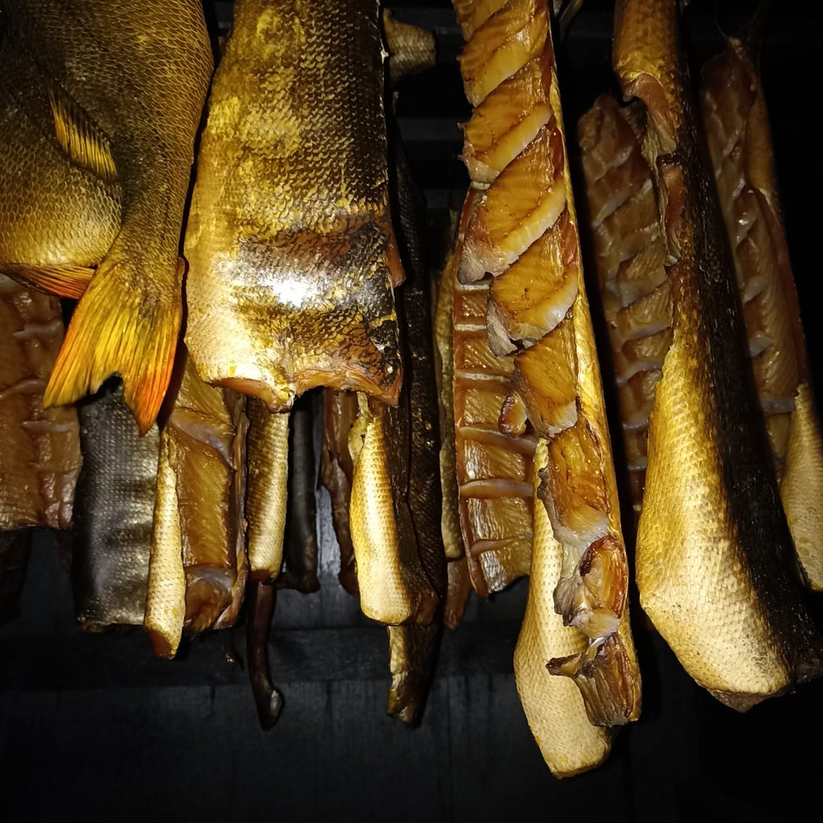 ZudovDenis's tweet photo. I suggest starting #Friday on #Wednesday)))
Fans of smoked #fish add friends to Twitter!
@DSCVR1 #socialminingweb3 #ICPeople #ICPArmy #smokedfish https://t.co/MrQ6SBTXsd