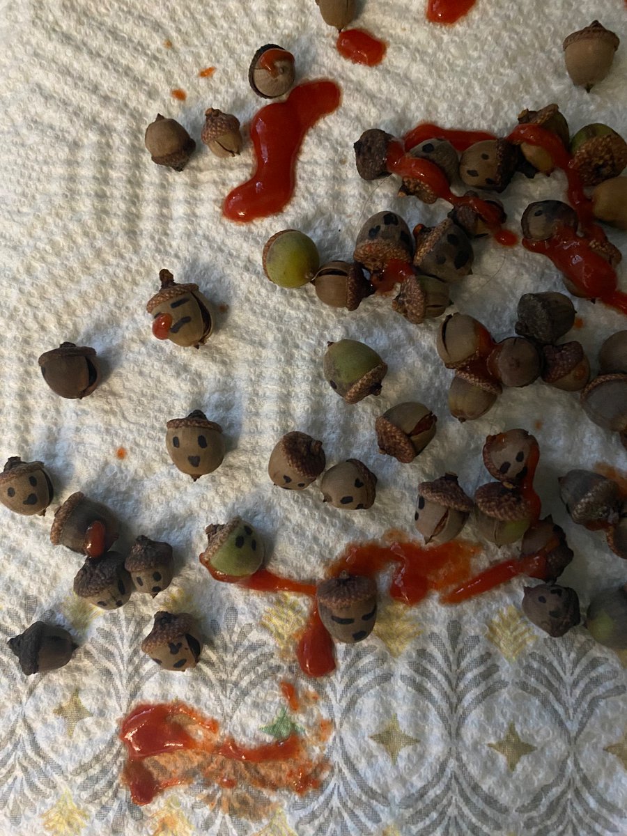 grapejellyfishh's tweet photo. @Enigmaiesh How can you be so insensitive? I have literal proof of the beheadings of beautiful Israeli children. 40 of them. https://t.co/EAjrVdkodc