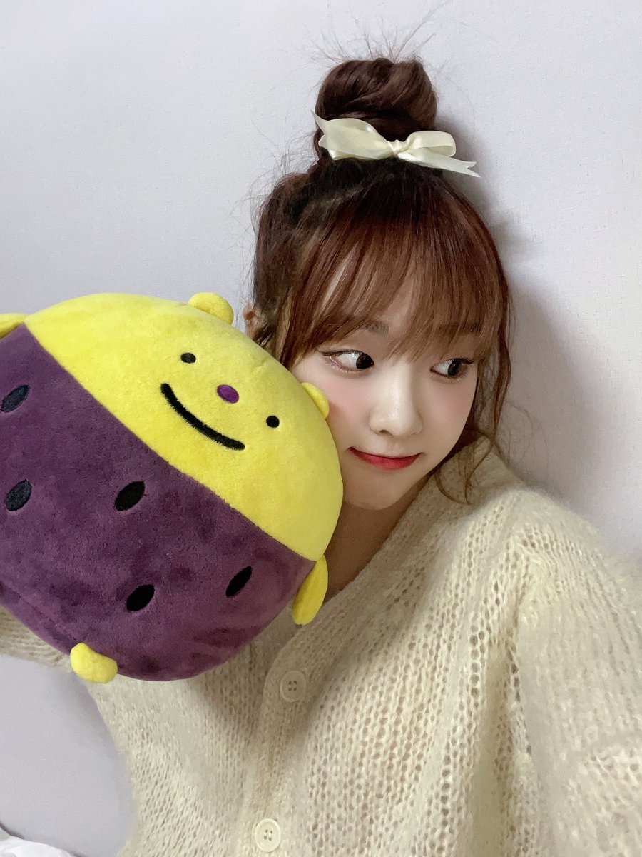 cignature_J9's tweet photo. with my new friend 곰고구마💛💜🤎

#cignature #시그니처 #CHLOE #클로이 https://t.co/dE6LFBjiQ3