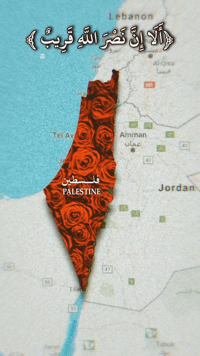 Too0olahM's tweet photo. اللهم الفرج و النصر القريب 🇵🇸 https://t.co/lkxUVIlQMI