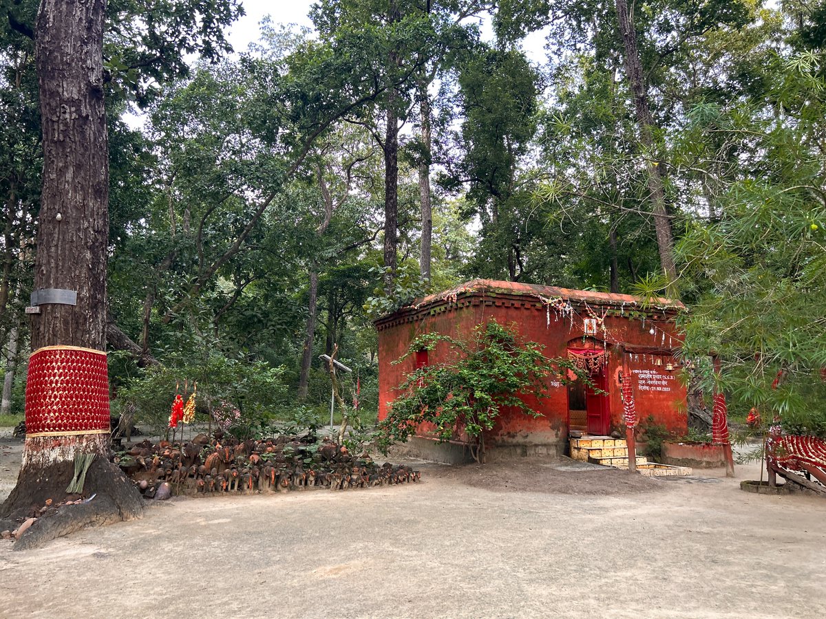 Rahul_ifs's tweet photo. The  unique temple in the midst of the Valmiki Tiger Reserve where people install a hand pump if their wishes are fulfilled.  

@DEFCCOfficial 
@ntca_india 
#fieldsiaries https://t.co/aZoK5pgDMJ