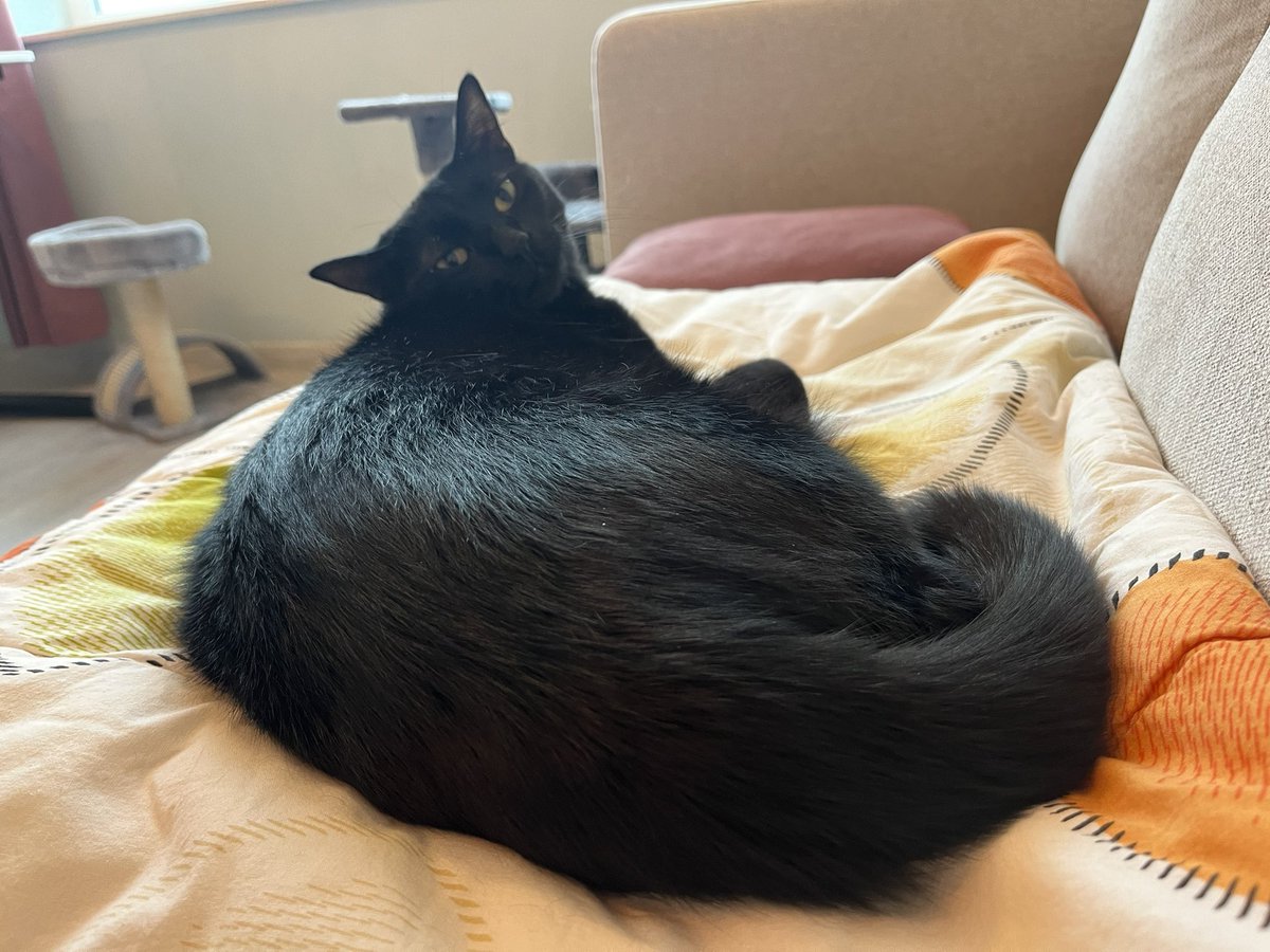 Тулуп с малка глава 😂