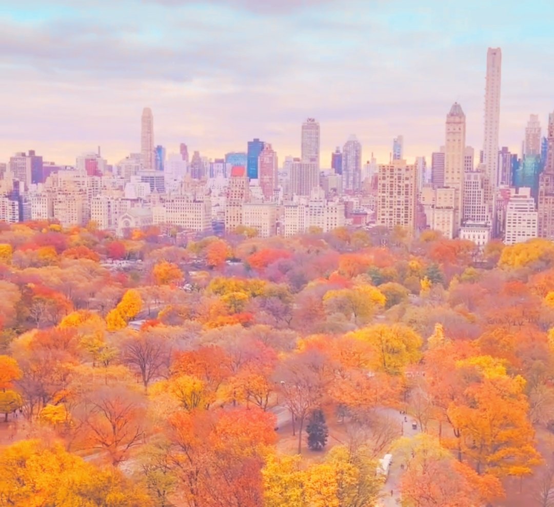 ash_infiniti's tweet photo. Hello. New york city! https://t.co/JPEG8GxIen