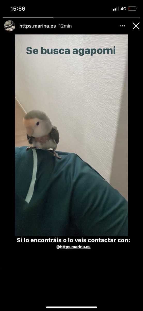 biigtitss's tweet photo. Difundir https://t.co/l6klFtvrlg