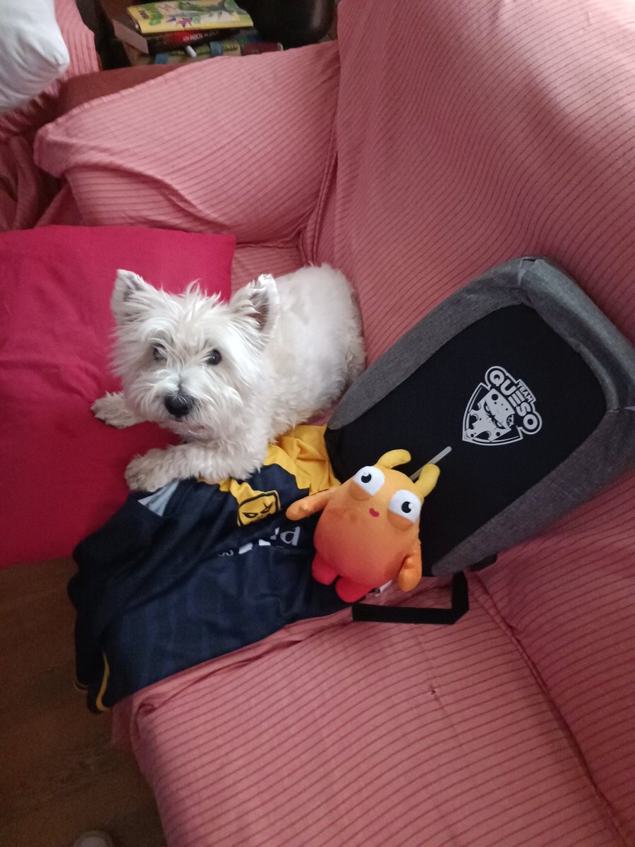 ⚽Tatelitix🎮 tweet media