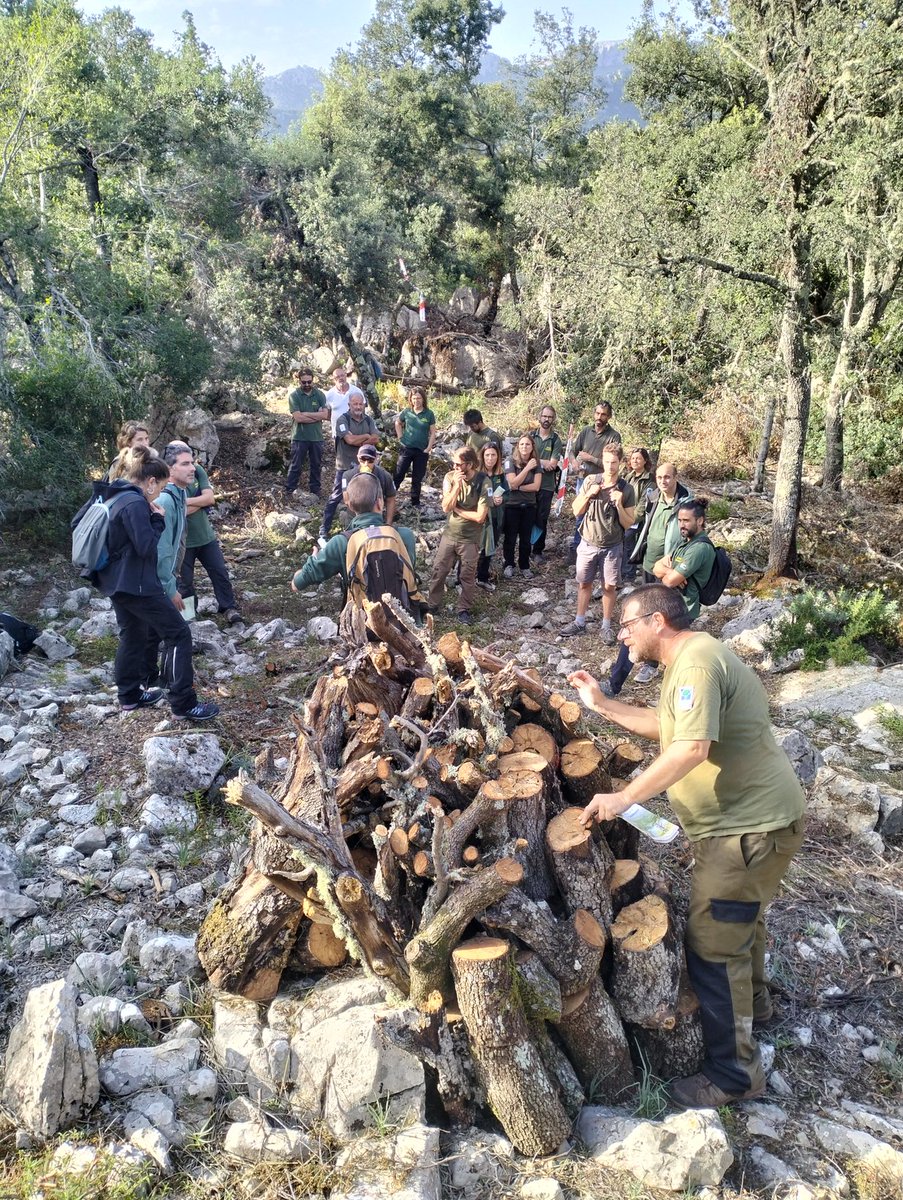 xarxaforestal's tweet photo. Avui, trobada del Grup Tècnic de Boscos (GTB), compartint experiències els tècnics forestals de les diferents illes, de les darreres tasques fetes en matèria de gestió forestal i estat sanitari dels alzinars #gestionarésconservar https://t.co/uI48V9rqM9