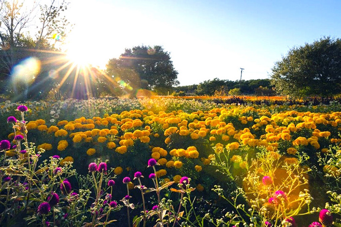 101 Highland Lakes tweet media