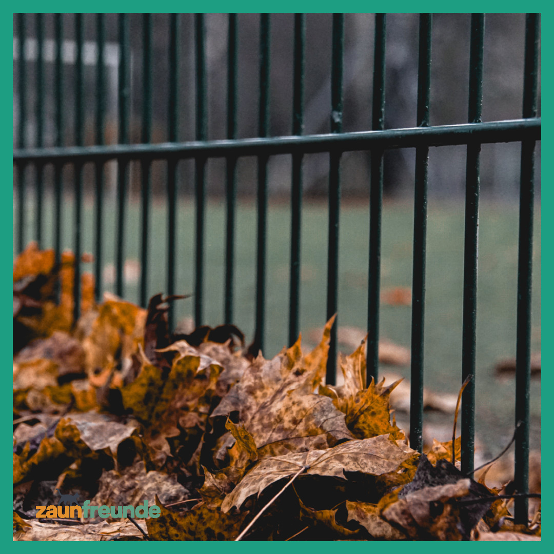diezaunfreunde's tweet photo. Alles zum perfekten Gartenzaun für den Herbst gibt's unter: https://t.co/cwQXuP2DK8 

#zaunfreunde #ratgeber #herbst #doppelstabmattenzaun #zaunmontage #bodenhülse #wetterfest #zaunset #alberts1852 #diy #gartenliebe #gartengestaltung #zaunbau #gartenzaun https://t.co/rUyC9v8WYP