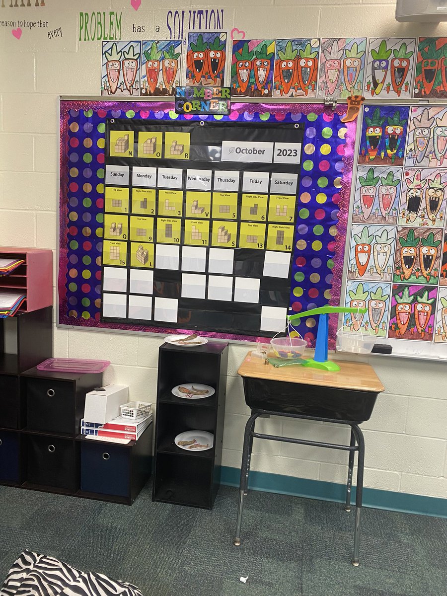 Lauren bota tweet media