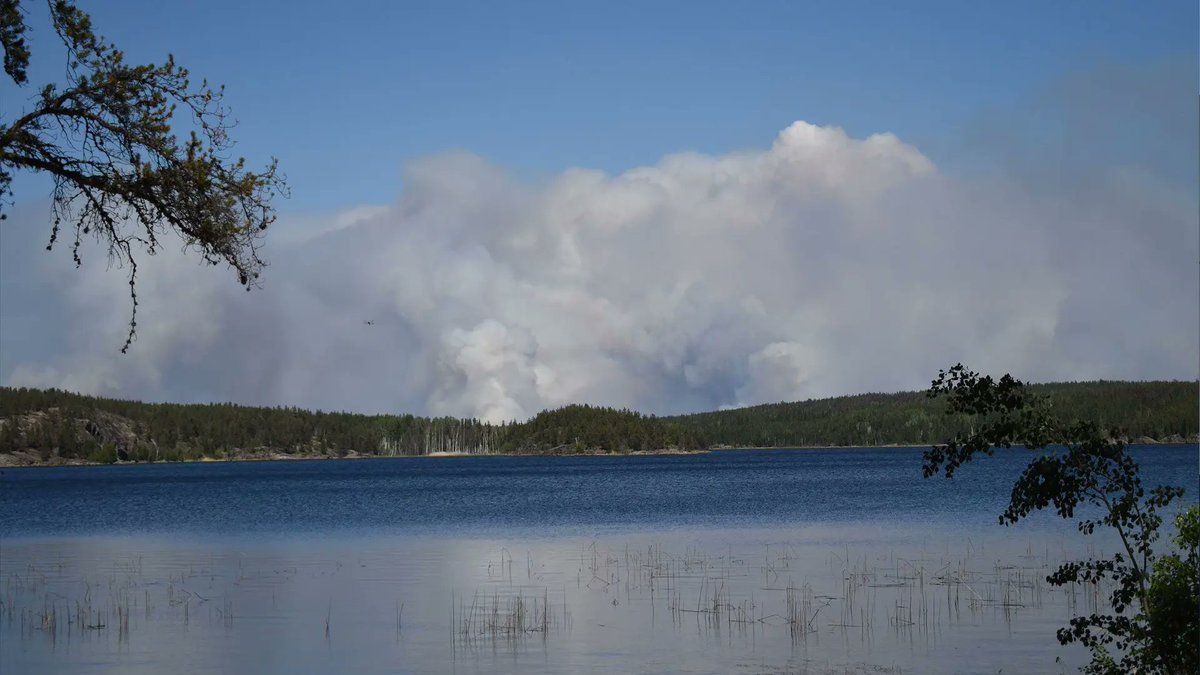 The climate is changing. Storms are getting more severe and species are dying off. What do we do now? Join the conversation today on InFocus. Watch live on APTN and online at 2 p.m. CT.