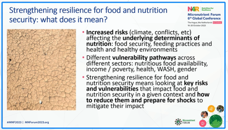 Key #MNF2023 takeaway <a href="/AugustinFlory/">Augustin Flory</a>
Strengthening #resilience for food &amp; nutrition security refers to reducing risks &amp; vulnerabilities on different pathways (food availability, income, gender...) and prepping for shocks to mitigate their impact. #NutritionForResilience <a href="/MNForum/">Micronutrient Forum</a>