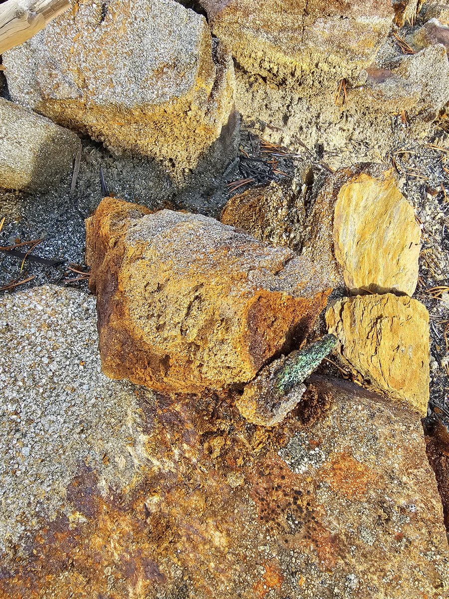 Kilpisjaervi's tweet photo. Yesterday we worked with our Alliance partner @PlayfairPLY $PLY.v, sharing knowledge about Central Norway. Today we are on our own, driving and walking a lot, it's a big hunting ground for base metals here and we want to secure prospective ground for Teako, for our investors. $TMIN #copper #zinc #cobalt #nickel #manganese