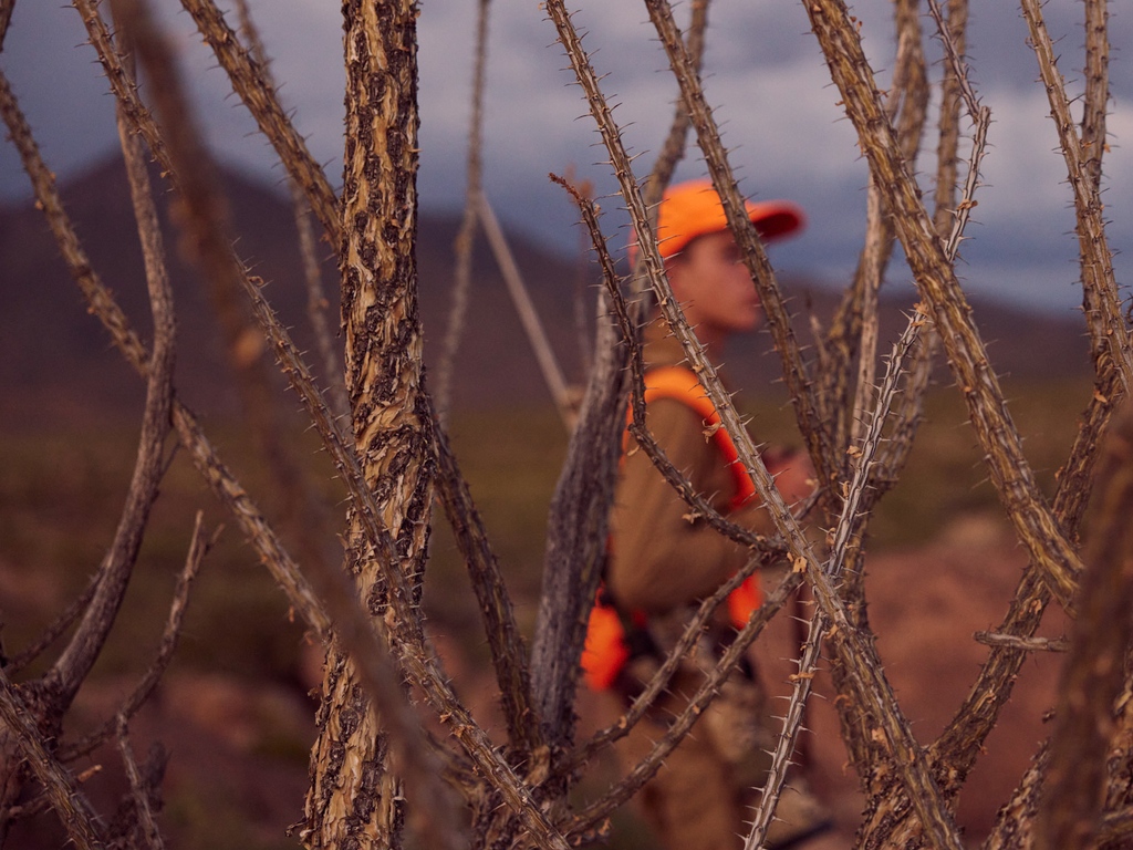 Jesse Rieser tweet media