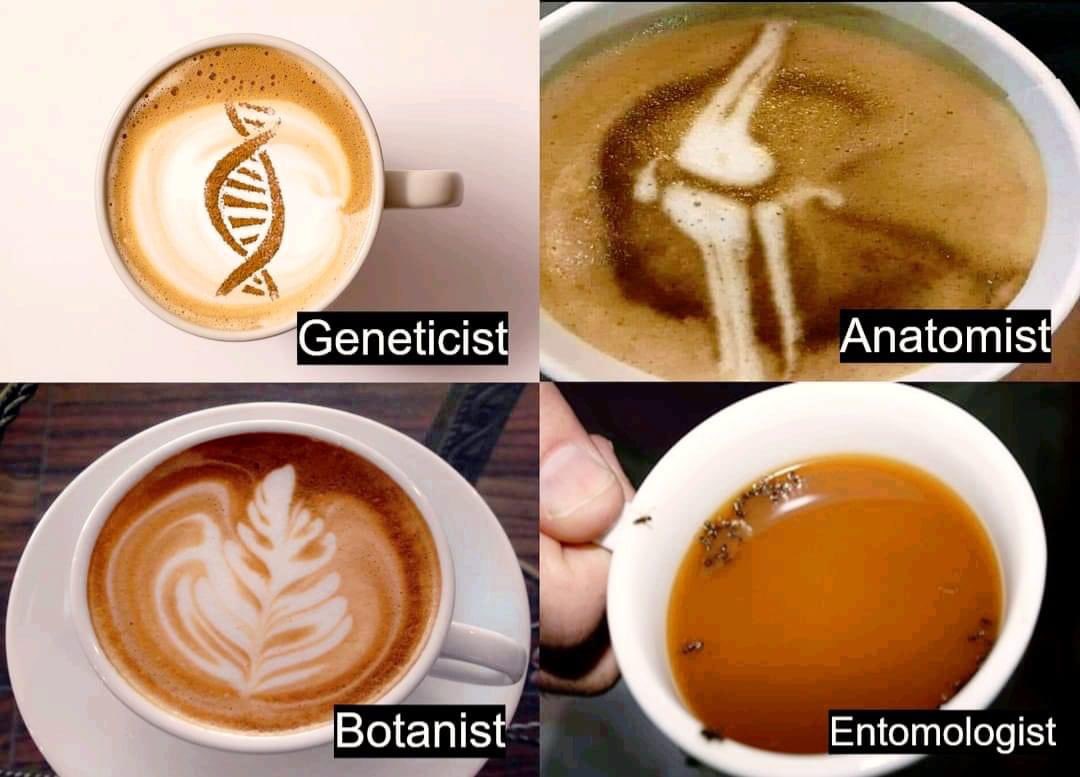 entomemeology's tweet photo. #entomemeology #entomologist #entomology #entomologymemes https://t.co/BrtQd5GkyF