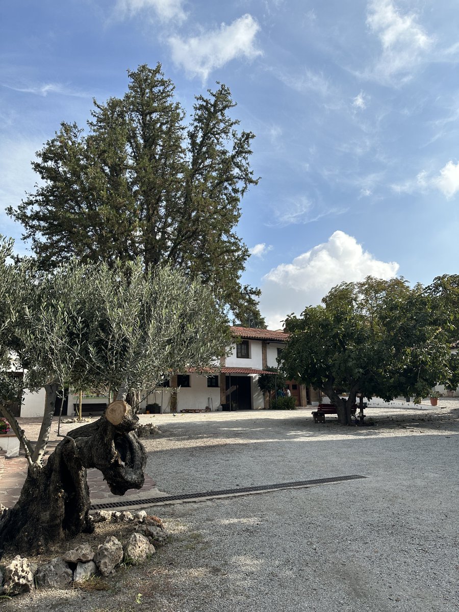 Delegació del Govern de Catalunya a Barcelona tweet media