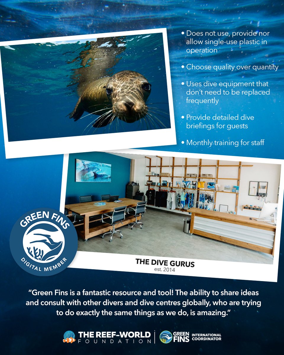 🇲🇽 With over 22 years of experience living and working in La Paz, The Dive Gurus is not just another dive centre. Want to be like The Dive Gurus? Read their inspiring story 🦭 greenfins.net/blog/the-dive-… If you're interested in becoming a #GreenFins Member: hub.greenfins.net/register