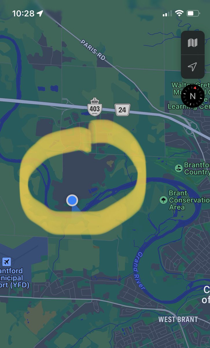 Leanne Schmidt🌻 tweet media