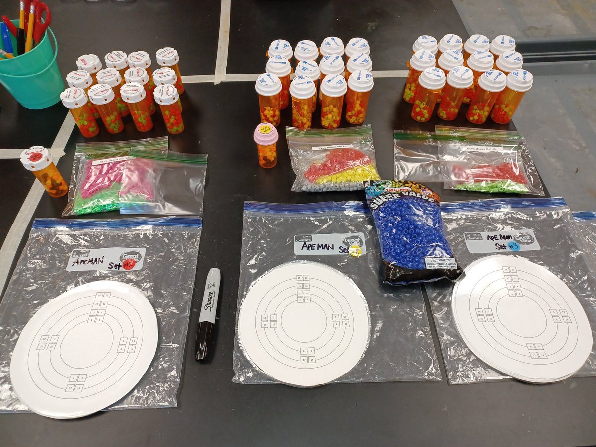bmaibes's tweet photo. Set-up a Bohrs Model Lab with me using colored beads. https://t.co/LtZUQyQMZi