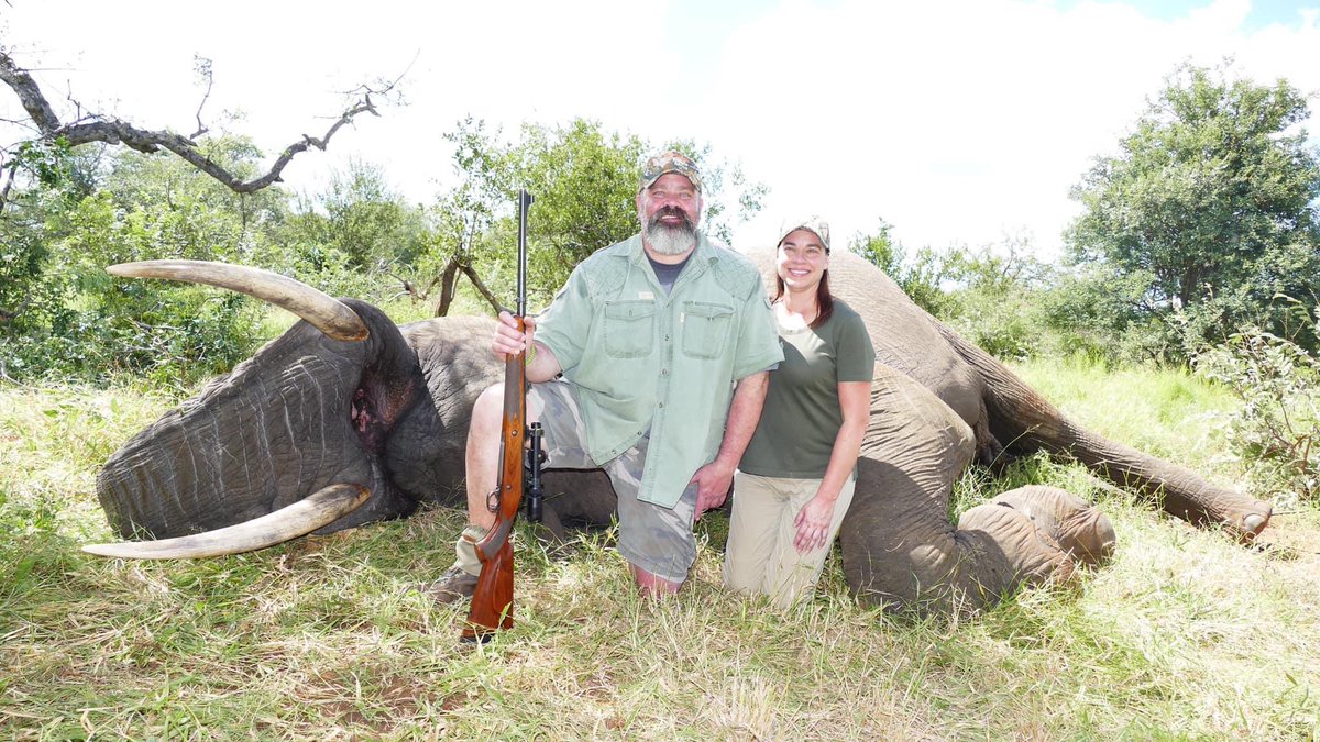 Podiatric surgeon, dr Turner Butts with the elephant he killed in SA. He won the HSCF male hunter of the year award (2023) & 'loves' animals. Nutcase. 🤬RT
#BanTrophyHunting 
@_Pehicc @SARA2001NOOR @Angelux1111 @Gail7175 @DidiFrench @PeterEgan6 @julie_dutto @domdyer70