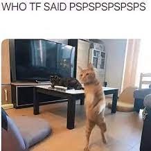 he is this meme