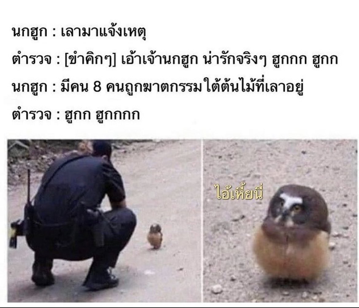 |มจ.|แม่เจ่งตัวจริง (@1gumpaa0) on Twitter photo 