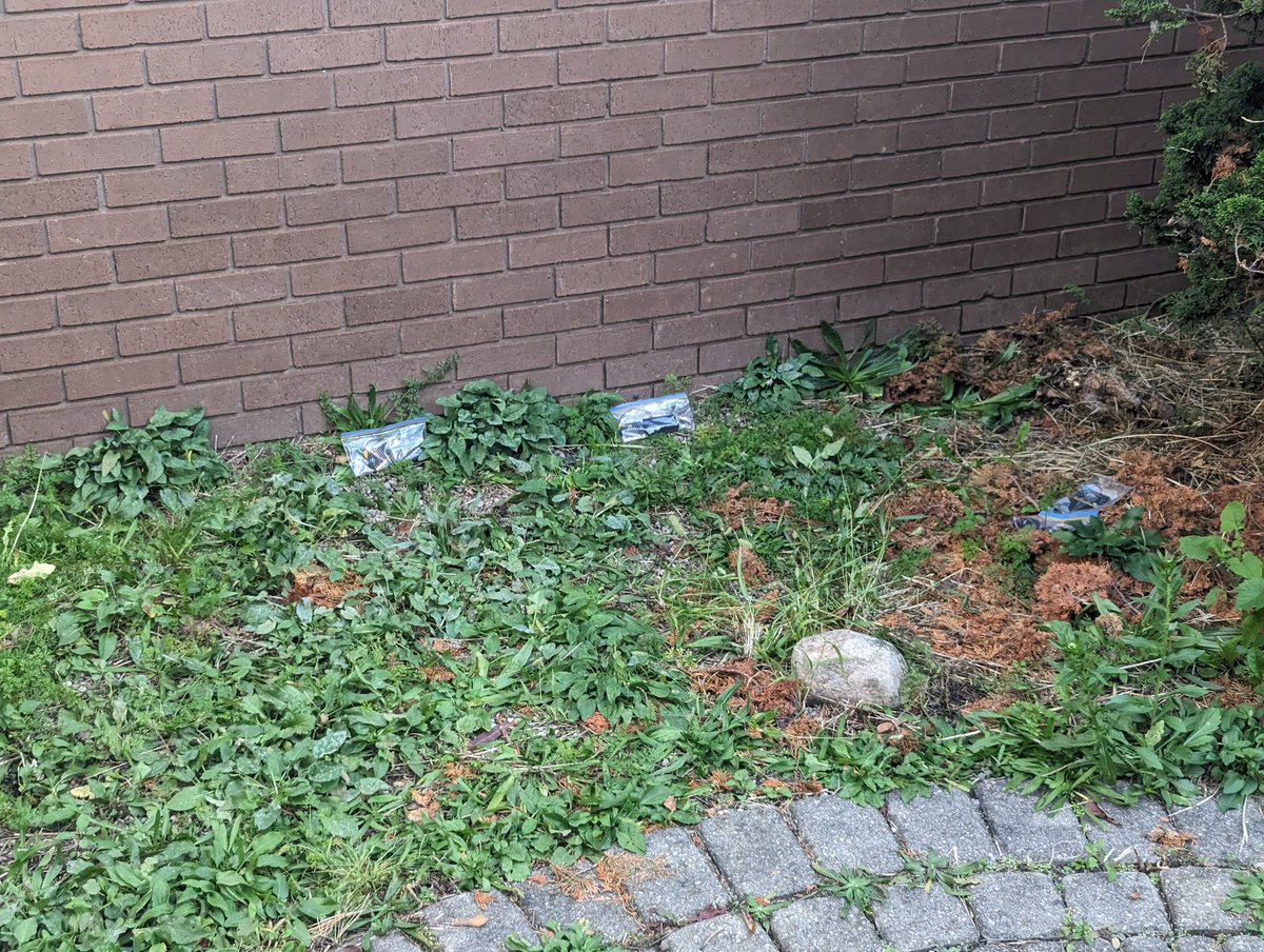 Kyle Kitchen tweet media