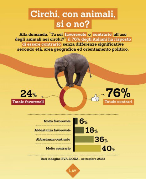 Mio articolo per <a href="/RadioVegit/">RadioVeg.it</a> 😊🌱 “Circhi senza animali. Obiettivo @LAVonlus” Leggi e condividi 👉 m.facebook.com/story.php?stor…