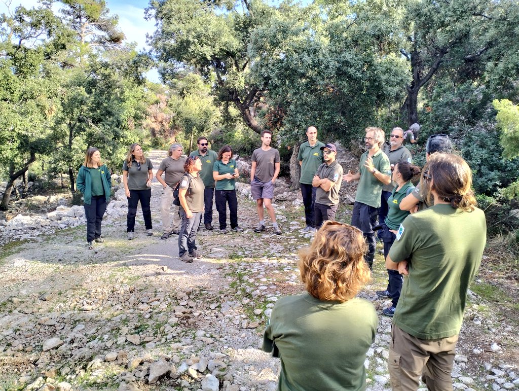 xarxaforestal's tweet photo. Avui, trobada del Grup Tècnic de Boscos (GTB), compartint experiències els tècnics forestals de les diferents illes, de les darreres tasques fetes en matèria de gestió forestal i estat sanitari dels alzinars #gestionarésconservar https://t.co/uI48V9rqM9
