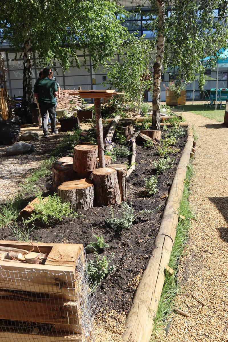 CRC_College's tweet image. CRC’s supported learners created a centre of biodiversity at the Cambs campus 🐞The Darwin Tree of Life community project measures the variety of plants, animals &amp;amp; insects present, &amp;amp; is a space for students &amp;amp; staff to enjoy🌱 #LoveOurColleges #LearningSupport