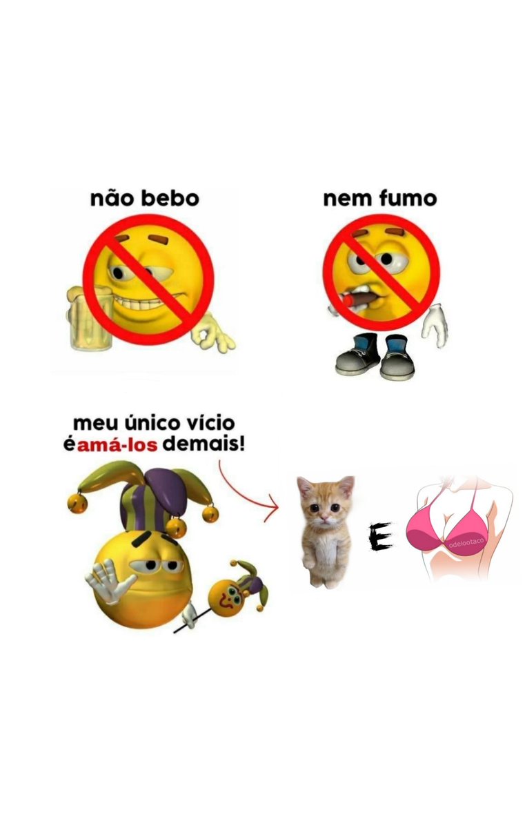perfil dedicado a gatinhos e peitos (@odeiootaco) on Twitter photo 