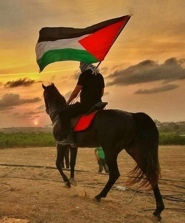 Gad91993's tweet photo. أت��ظن أنّك عندمَا أحرقتَنِي
ورقصتَ كالشيطانِ فوق رفَاتِي

وتركتني للذّاريات تذرّنِي
كُحلاً لعينِ الشّمسِ بالفلواتِ

أتظن أنّك قد طمَست هويّتي
ومحَوتَ تاريخي ومعتقداتِي

عبثاً تحاولُ لا فناءَ لثائرٍ
أنا كالقيامةِ ذاتَ يومٍ آتي https://t.co/BBR8l0ln4a