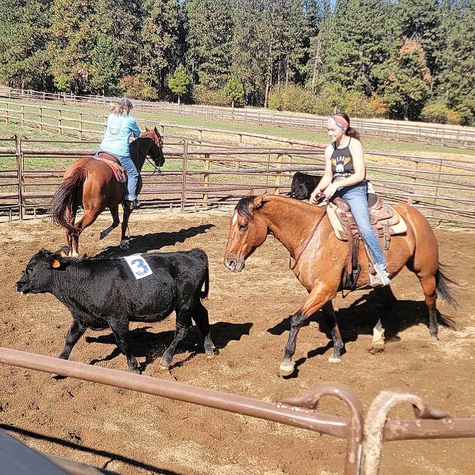 raley_maggie's tweet photo. @melanie_larue_ Picked her up off Craigslist and now she’s broke enough to win one, and broke enough to teach a kid on. https://t.co/8RcJoXMAdu