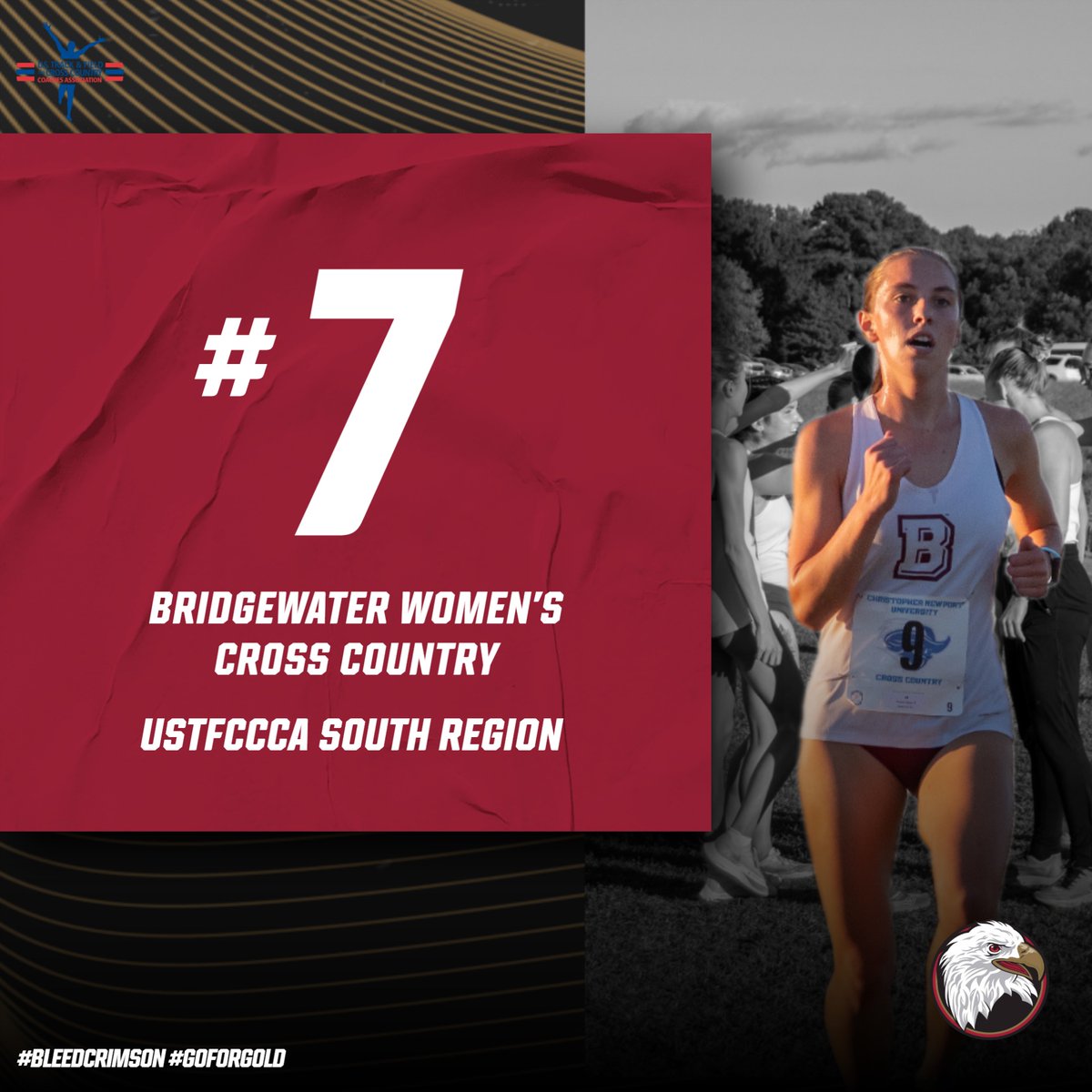 Ranking update! 7⃣ Women's @BCXCTF Seventh in Latest South Region Ranking #BleedCrimson #GoForGold 🔗tinyurl.com/5dy9y35z