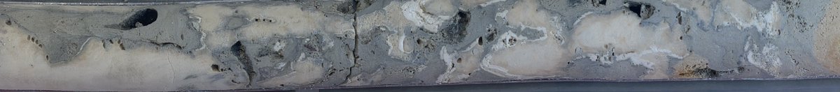 Christina Ravelo tweet media