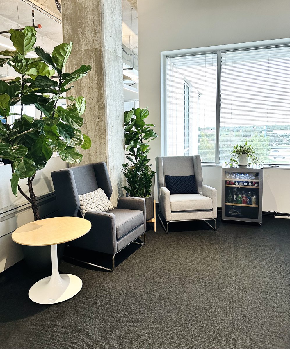 NaturaHQ's tweet photo. Plainviews in Austin is now a plant haven with our Aglaonemas and Fiddle Leaf Fig tree installations. Trust Natura to enhance your office environment with our indoor plant expertise. 🌿 Designer: Anai 👩💼
Austin, Tx📍
#InteriorPlants #Natura #AustinOffice #IndoorPlantSolutions https://t.co/LMaK3nkTwH