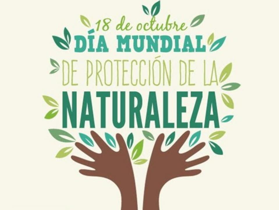 El #18deoctubre se celebra en todo el mundo el Día Mundial de Protección de la Naturaleza
🙌Con el objetivo de crear conciencia en la población sobre la necesidad de cuidar el planeta.🌎 

🫶 Cuidemos nuestro planeta ‼️
#MedioAmbiente
