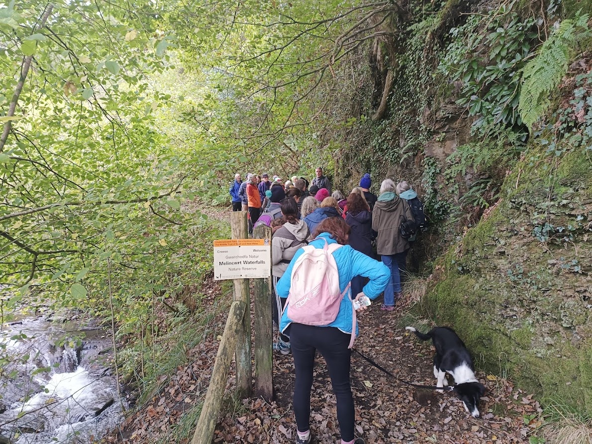 Braf oedd cynnal taith #ArDroed ddoe yn Rhaeadr Melincwrt gydag @IoloWilliams2. Diolch i bawb wnaeth ddod a diolch i Iolo!

Yesterday we had a great time hosting a walk & talk with Iolo Williams. Diolch to all who came and a special thanks to Iolo!

#GwreiddiauGwyllt #Cymraeg