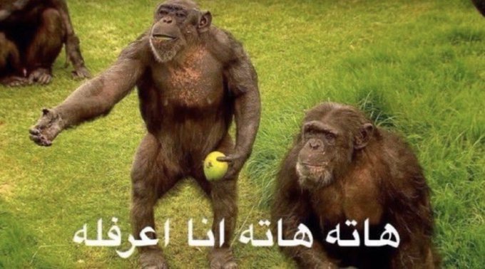 هاااااااااااته اعرف له 🤣🤣🤣🤣🤣🤣