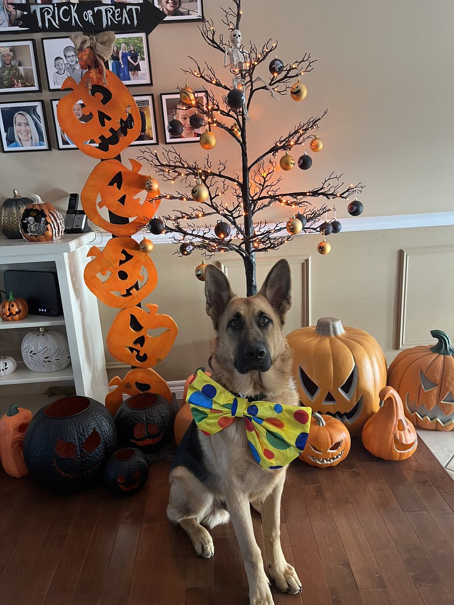 He’s handsome and he knows it