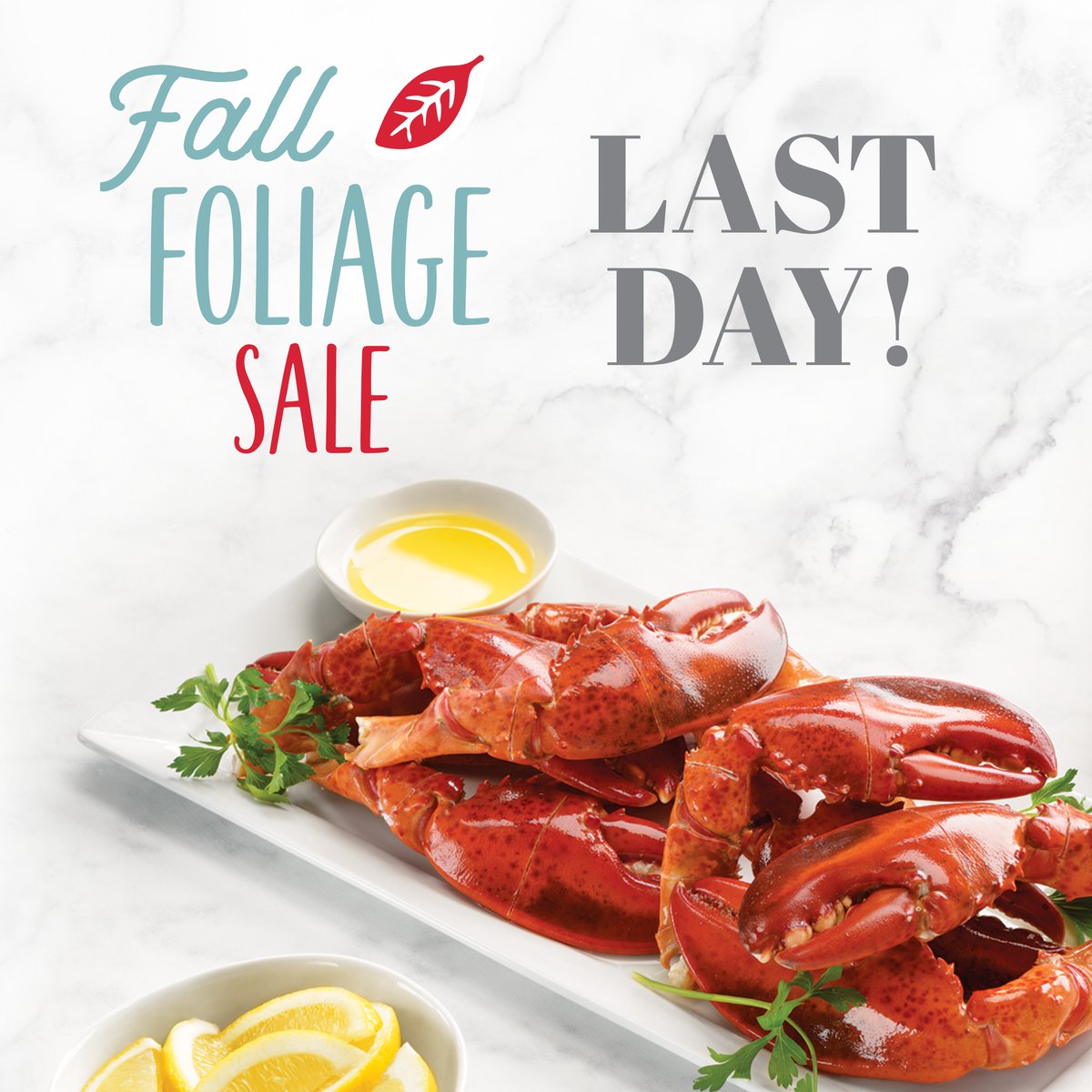 Still craving a taste of the East Coast? Well, you’re just in time! Today is the LAST DAY to get 20% off Maine Lobsters with our Fall Foliage Sale. 🦞 Use code FALL20 today!

bit.ly/3xU1nXR

#LobsterGram #SeafoodLovers #FallFoliageSale #MaineLobster #LobsterSale
