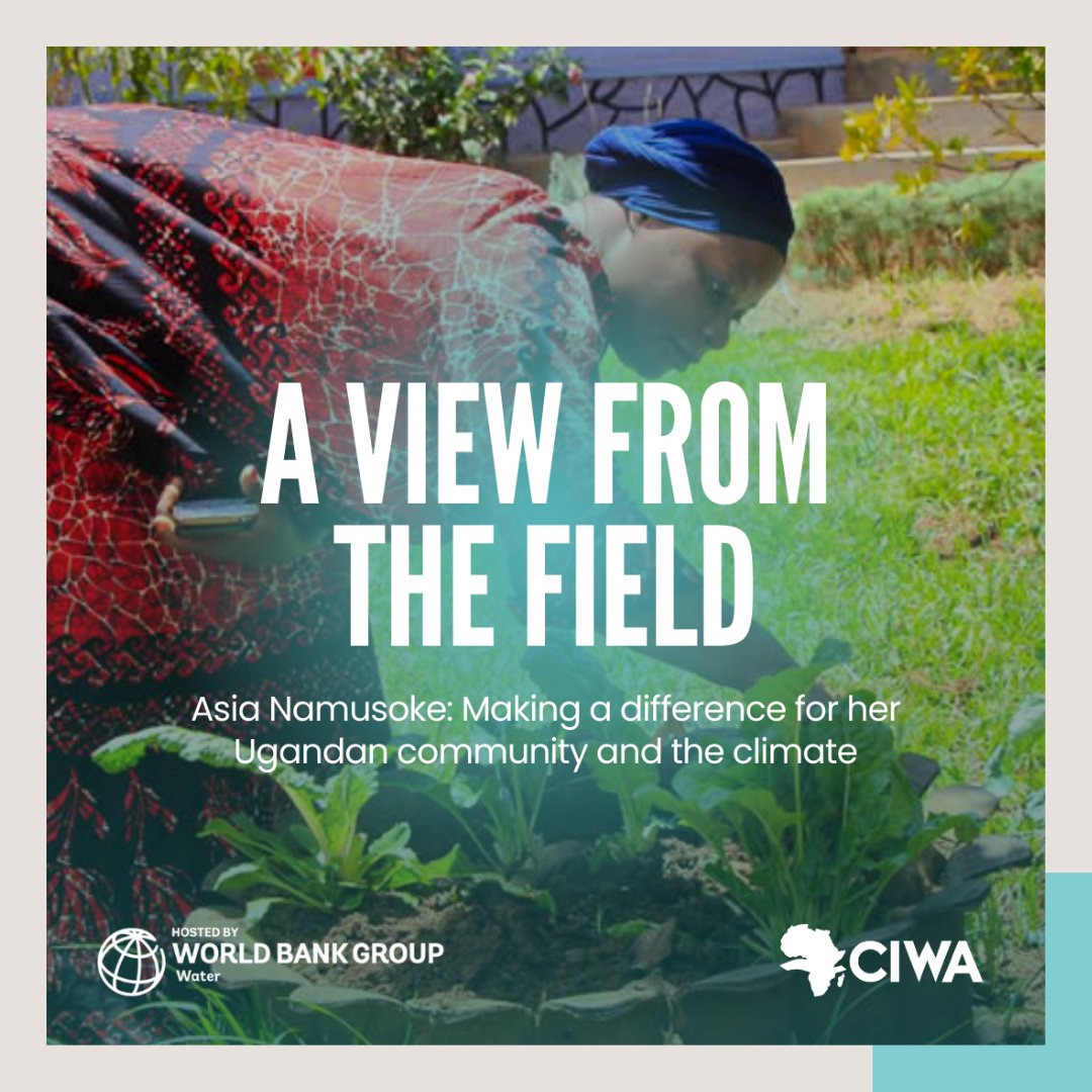 ciwaprogram's tweet photo. With @ciwaprogram &amp; @nilebasin’s support, #ClimateChange Resilience Champion Asia Namusoke makes a difference in her community in #Uganda 🇺🇬

🙋🏾‍♀️ empowering #women,
♻️ promoting #sustainable agriculture, 
📈 &amp; improving #livelihoods.

👉🏾 https://t.co/LpIcOwULMP

#AViewFromtheField https://t.co/LvsjsMQOp4
