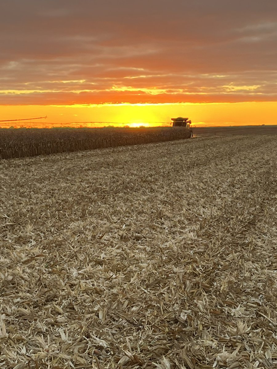 Nothing beats a NE Harvest Sunset! 💛🧡