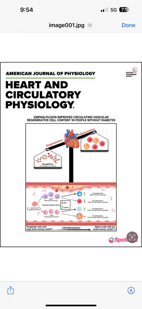 Congratulations to the Verma Laboratory for another home run paper - you made the cover!!! 💪💪🧠🧠🫀🫀🇨🇦🇨🇦👏👏👏 journals.physiology.org/doi/abs/10.115… @SubodhVermaMD @UnityHealthTO @UofTCVsurgery