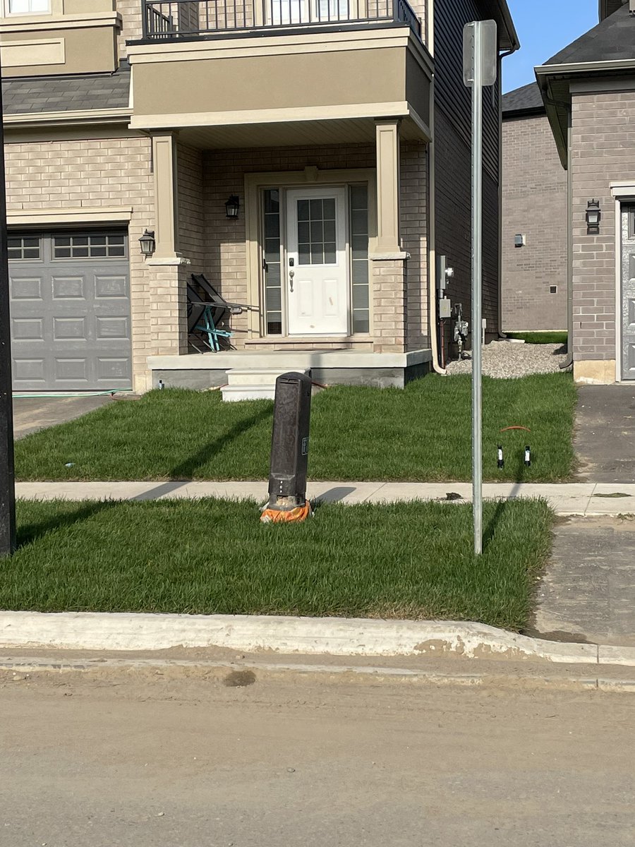 Leanne Schmidt🌻 tweet media