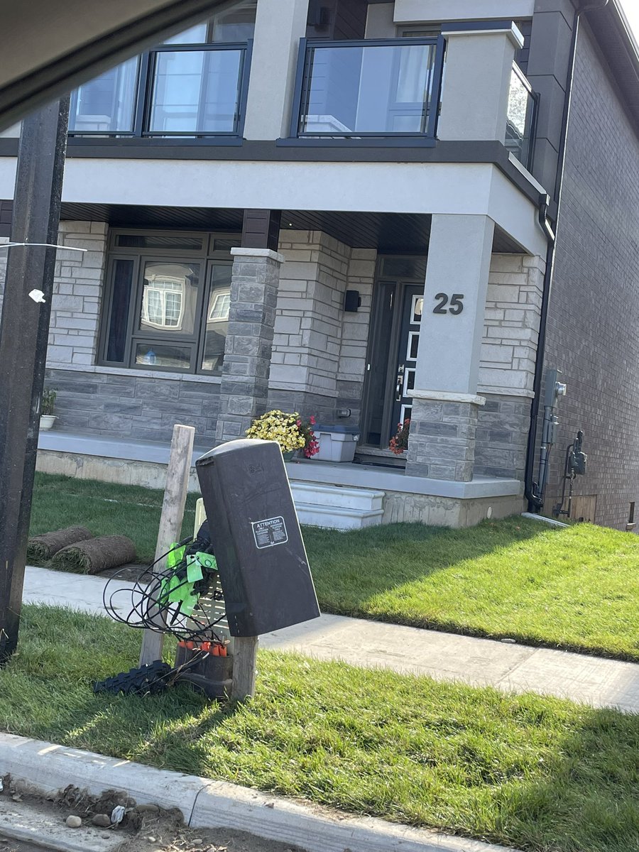 Leanne Schmidt🌻 tweet media