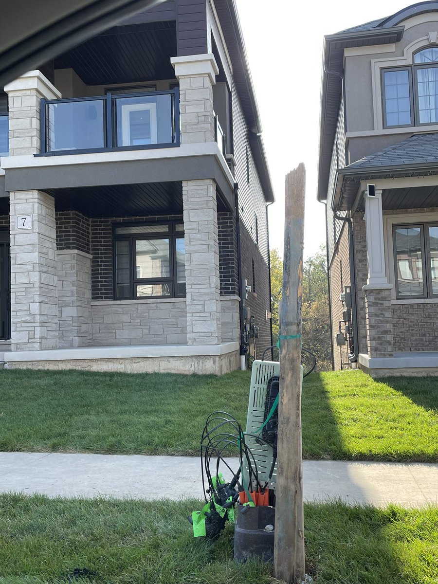 Leanne Schmidt🌻 tweet media