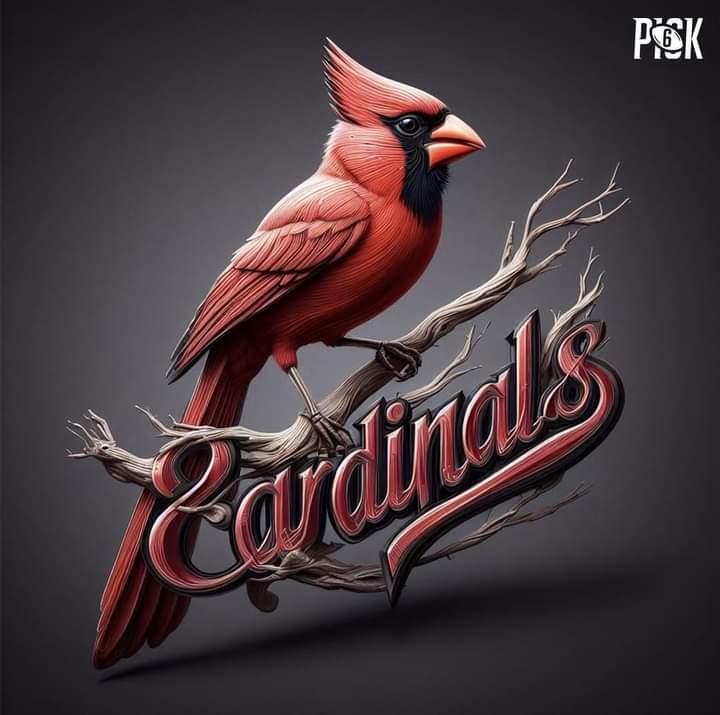 stupacarmy790's tweet image. @AZCardinals the AI confused u with @Cardinals and the stick would be hot trash on a football helmet-5 #ailogos #stupacity