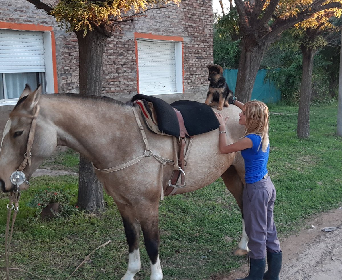 EmiFuentesx's tweet photo. Hasta pronto mi compañera❤️ te voy a extrañar mucho❤️ https://t.co/gTG1QzXcYJ