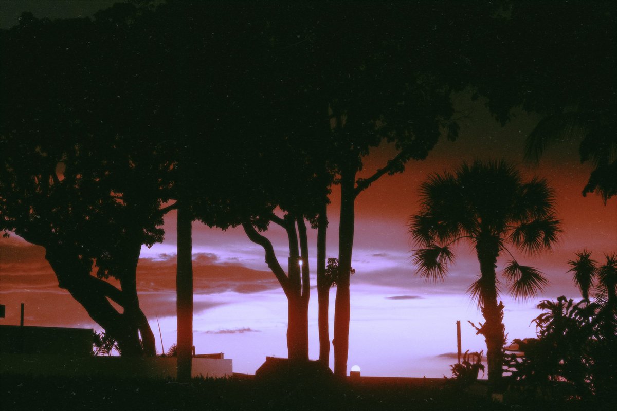 ▀▄▀𝙙𝙞𝙜𝙞𝙩𝙖𝙡 𝙡𝙚𝙛𝙩𝙤𝙫𝙚𝙧𝙨✰✰ tweet media