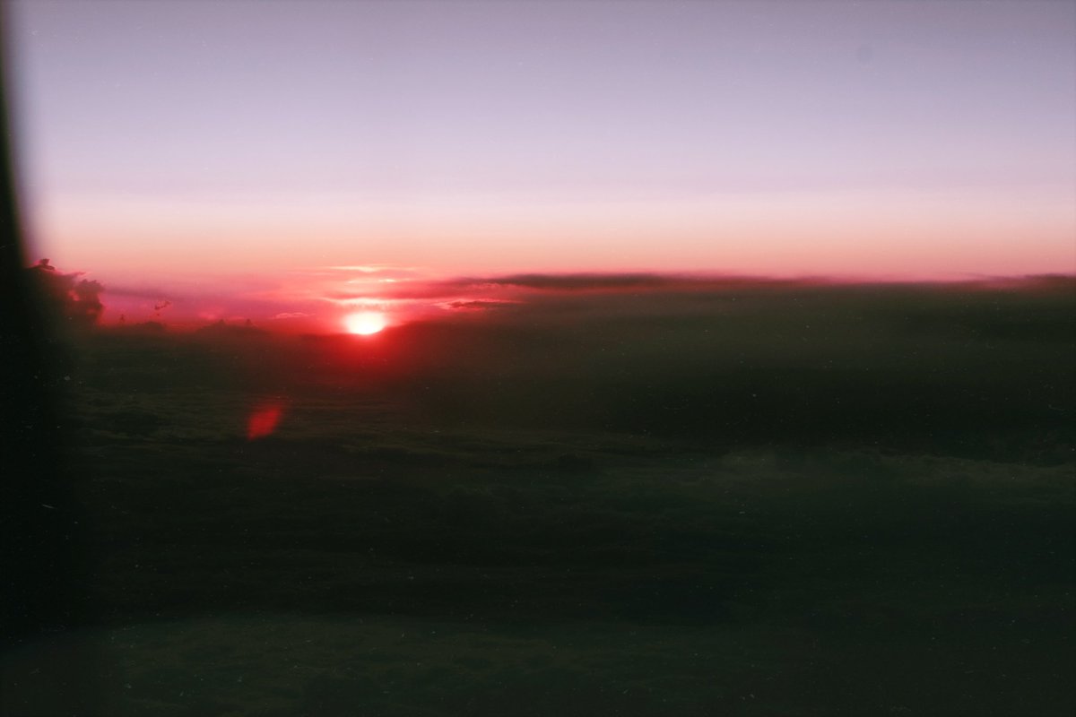 ▀▄▀𝙙𝙞𝙜𝙞𝙩𝙖𝙡 𝙡𝙚𝙛𝙩𝙤𝙫𝙚𝙧𝙨✰✰ tweet media